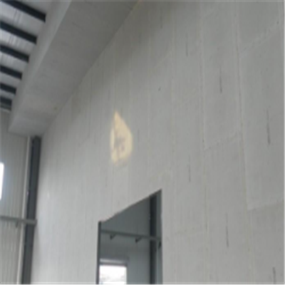 河口宁波ALC板|EPS加气板隔墙与混凝土整浇联接的实验研讨